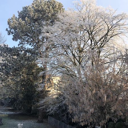 Le Jardin de Fresnes Bed & Breakfast Luaran gambar